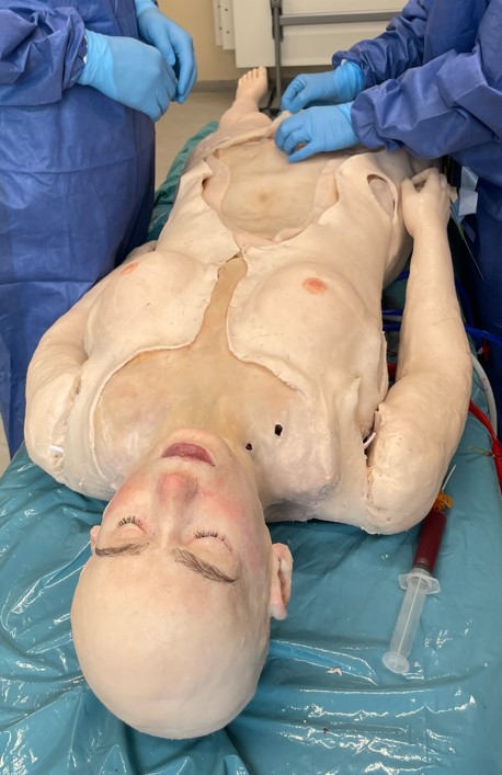 Female Whole-Body Model